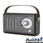 VINTAGE radio speaker green lion